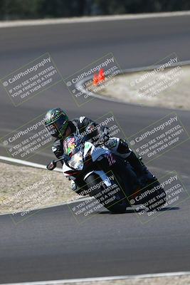 media/Sep-21-2025-TrackDaz (Sun) [[277c75b276]]/C Group/1140pm (Turn 3)/